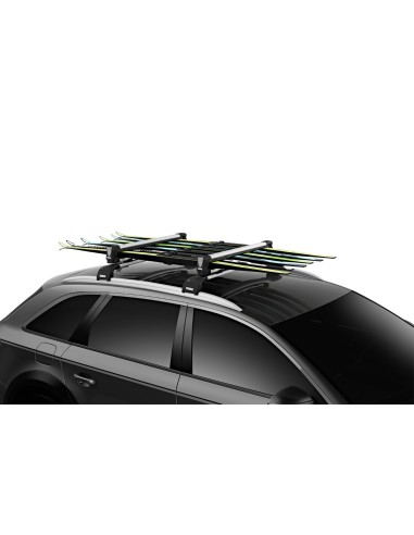 Thule SnowPack L