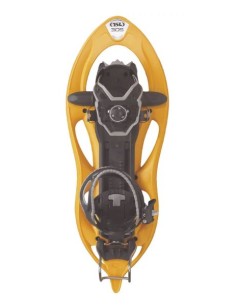 TSL 305 INITIAL HONEY