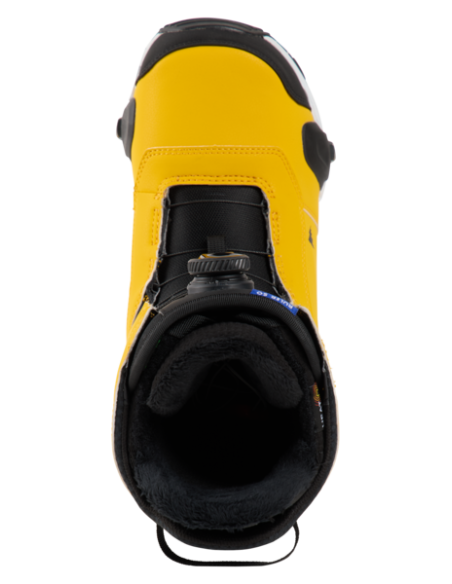 RULER STEP ON GOLDENROD